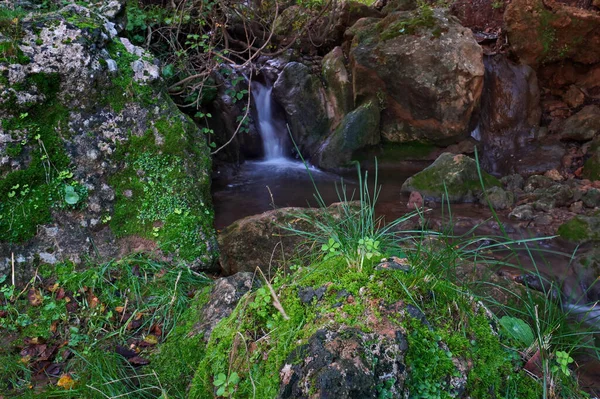 Uma Cachoeira Cascata Cênica Riacho Rochoso Estreito Parque — Fotografia de Stock