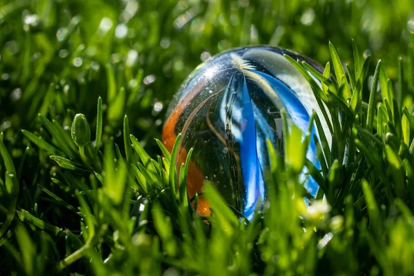 Primer Plano Mármol Transparente Medio Hierba — Foto de Stock