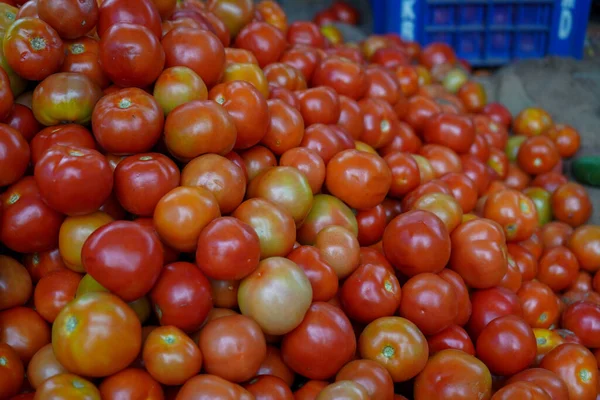 Primer Plano Tomates Frescos —  Fotos de Stock