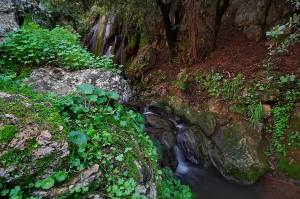 Parktaki Dar Bir Kayalık Derenin Manzaralı Şelalesi — Stok fotoğraf