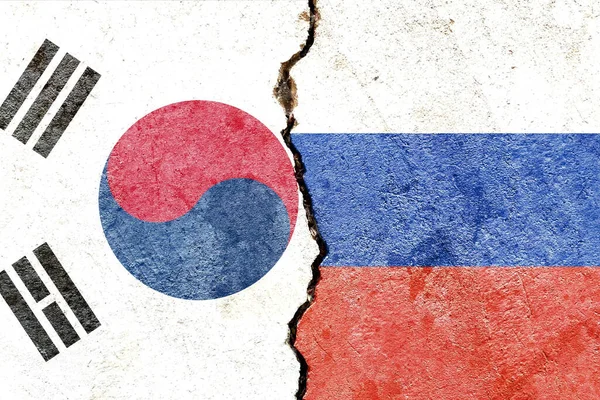 Μια Άποψη Της Νότιας Κορέας Ρωσία Εθνικές Σημαίες Που Απομονώνονται — Φωτογραφία Αρχείου