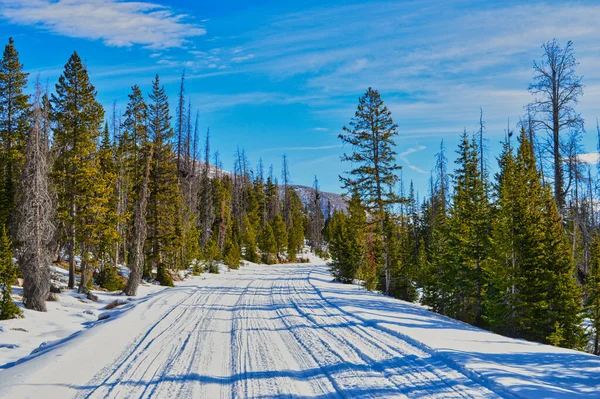 Дорога Ведущая Через Лес Зимой — стоковое фото