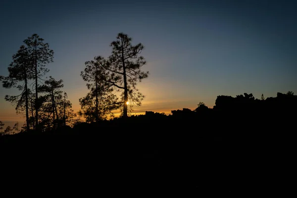 Красивый Вид Пейзаж Деревьями Захватывающим Закатным Небом — стоковое фото