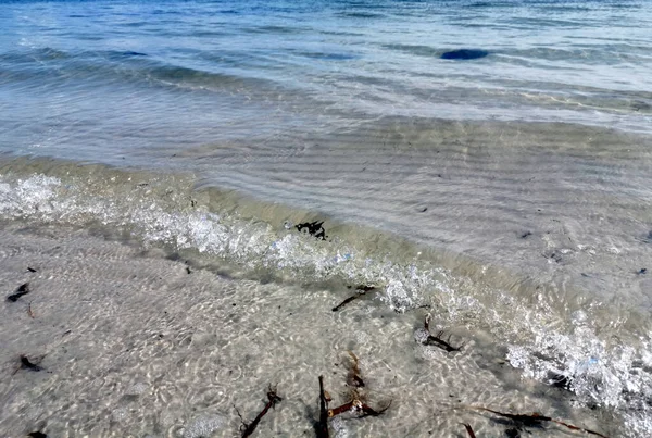 Крупный План Морских Волн Врезающихся Песчаный Берег Покрытый Разбросанными Ветками — стоковое фото
