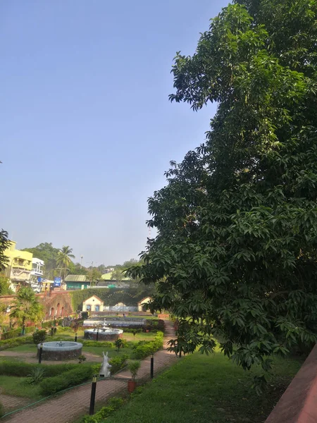 Eine Vertikale Aufnahme Eines Grünen Parks Bei Tag — Stockfoto