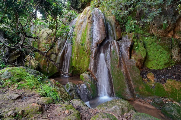 Uma Cachoeira Cascata Cênica Riacho Rochoso Estreito Parque — Fotografia de Stock