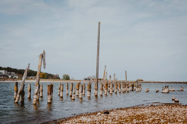 Mise Point Sélective Bâtons Bois Dans Eau Lettonie — Photo