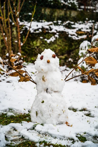 木の枝の手と背の高い目を持つ面白い雪だるまの垂直ショット — ストック写真