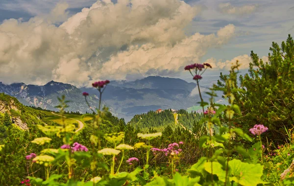 Céu Nebuloso Dramático Sobre Alpes Com Primeiro Plano Desfocado Com — Fotografia de Stock