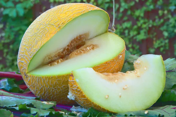 Närbild Färsk Skivad Melon Gröna Blad — Stockfoto