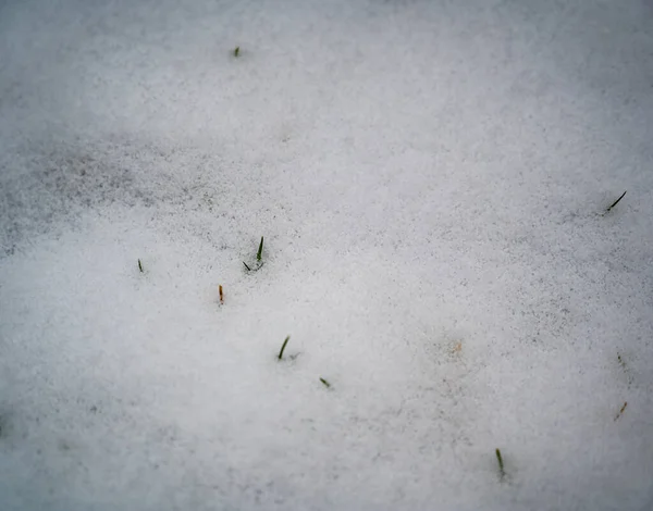 Una Vista Superior Del Fondo Textura Nieve —  Fotos de Stock