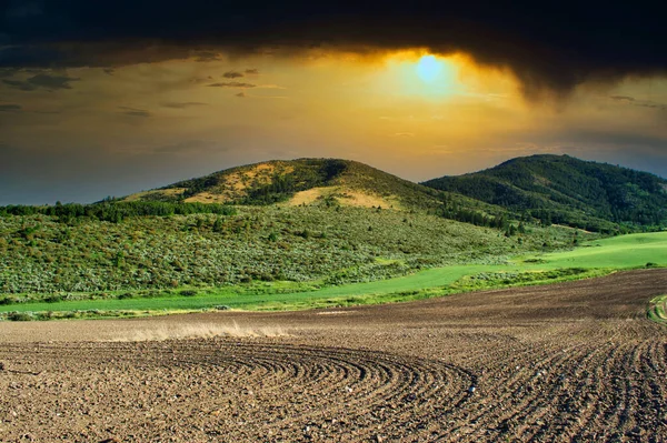 Schöner Sonnenuntergang Über Dem Feld — Stockfoto