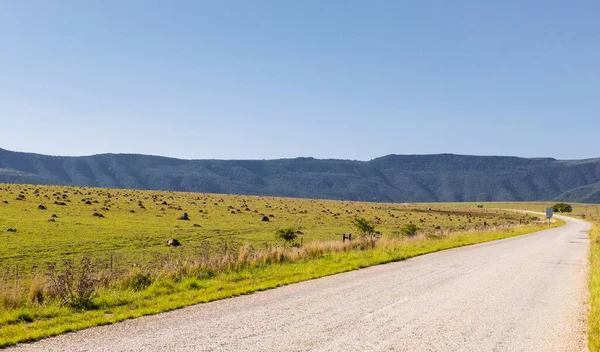 Une Route Rurale Droite Traversant Paysage Herbeux Plaine Afrique Sud — Photo