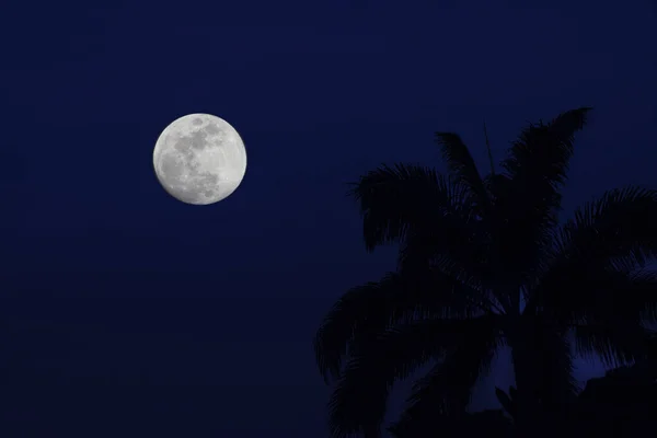 一轮美丽的满月 — 图库照片