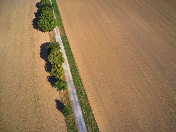 Una Toma Aérea Carretera Con Arbustos Árboles Arbustos Junto Prado — Foto de Stock