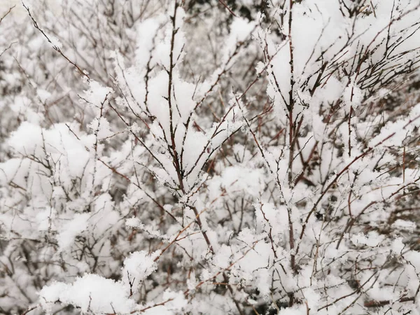 노르웨이의 라르비크에서 겨울에 — 스톡 사진