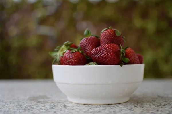 Primer Plano Fresas Frescas Tazón — Foto de Stock