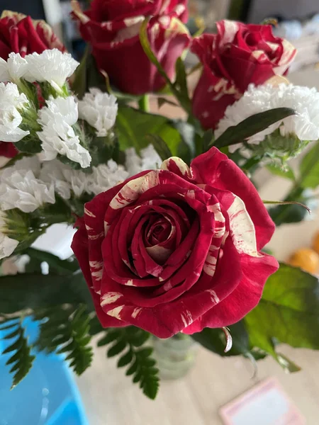 Вибірковий Фокусний Постріл Різнокольорових Троянд Білими Квітами Використовується Центральна Частина — стокове фото