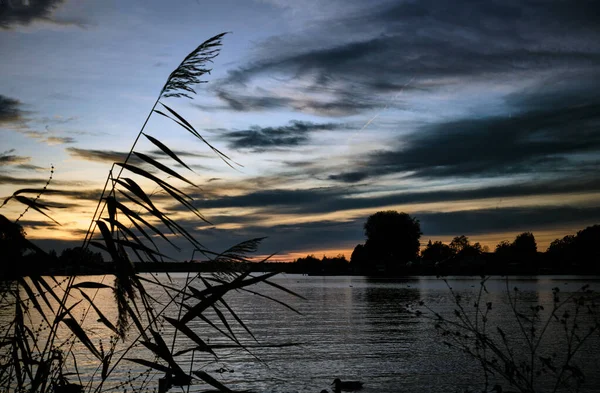 Vacker Bild Vattnet Floden Solnedgången — Stockfoto