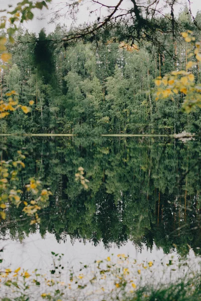 Vertikal Bild Skog Speglad Sjön Hösten — Stockfoto