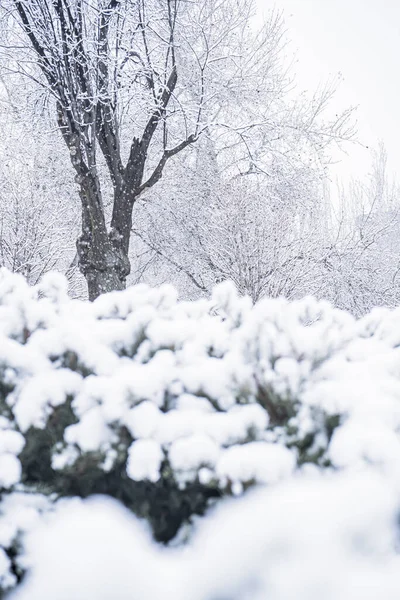 Vacker Snöig Park Madrid Spanien 2021 — Stockfoto