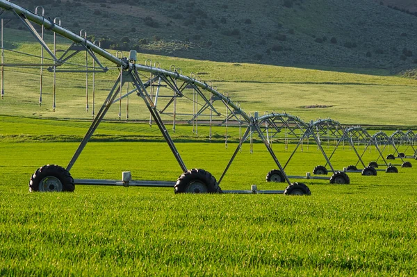 Metallberegnungsmaschinen Auf Der Grünen Wiese — Stockfoto