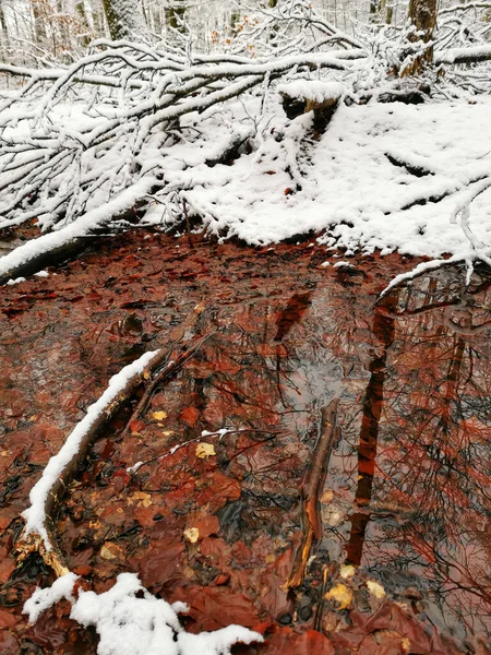 Uma Paisagem Vertical Uma Floresta Com Fluxo Inverno Larvik Noruega — Fotografia de Stock