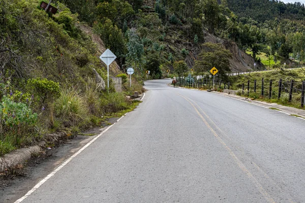 一条漫漫长路穿过高山附近的树木 — 图库照片