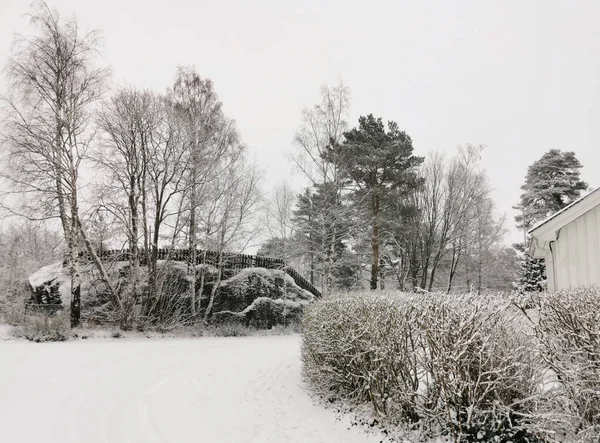 Uma Bela Paisagem Inverno Noruega — Fotografia de Stock