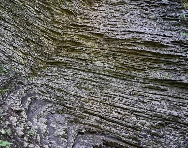 Närbild Bild Veck Med Störning Kalkstenen Muschelkalk Bayerska Alperna Trias — Stockfoto