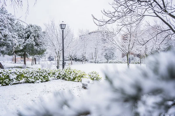 Ein Verschneiter Fußweg Einem Park Madrid Spanien Jahr 2021 — Stockfoto