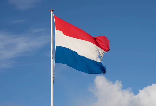 Tiro Ángulo Bajo Bandera Los Países Bajos Bajo Cielo Nublado —  Fotos de Stock