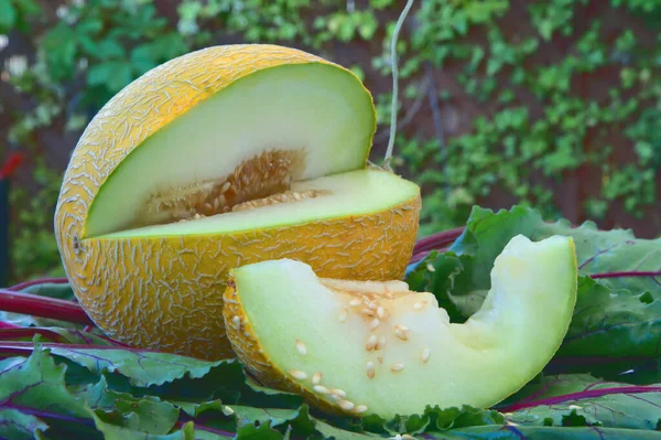 Närbild Färsk Skivad Melon Gröna Blad — Stockfoto