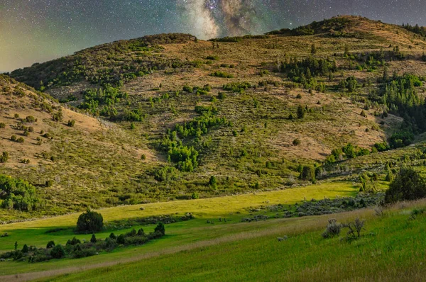 星空下森林小山的美丽景色 — 图库照片