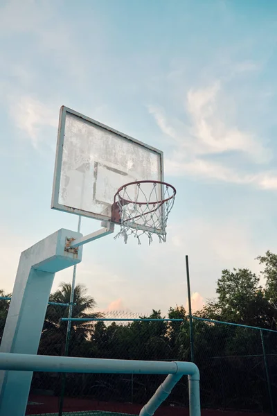 Вертикальний Знімок Баскетбольної Стійки Дворі Оточеному Деревами — стокове фото