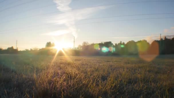 Beautiful Sunset Field — Stock Video