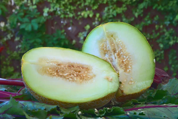 Närbild Färsk Skivad Melon Gröna Blad — Stockfoto