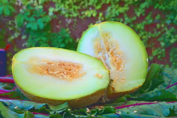 Närbild Färsk Skivad Melon Gröna Blad — Stockfoto