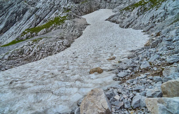 Крупный План Остатка Ледникового Языка Поле Альпах — стоковое фото