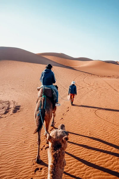 Esta Foto Ves Chico Desierto Sentado Camello Con Hombre Asegurándolo — Foto de Stock