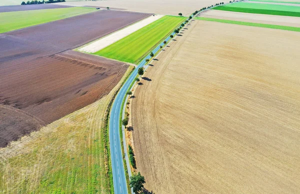 Luchtfoto Van Een Weg Door Industriële Landbouwbedrijven — Stockfoto