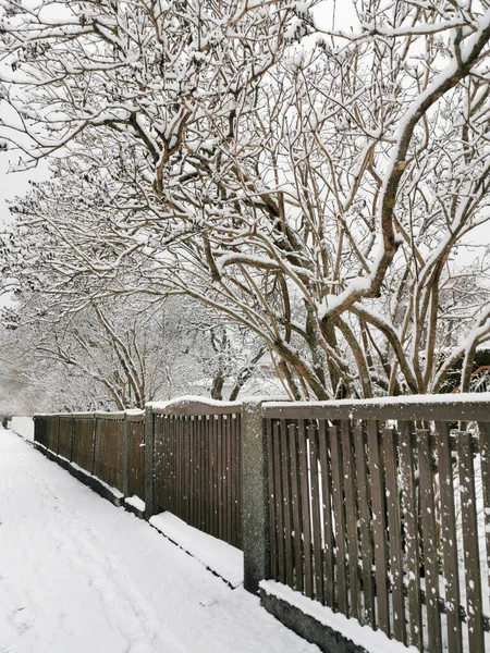 Colpo Verticale Una Recinzione Legno Larvik Norvegia Inverno — Foto Stock