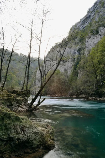 大きな川と美しい岩の風景の垂直ショット — ストック写真