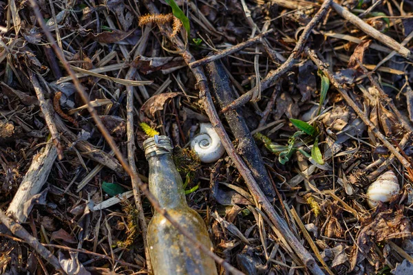 stock image A selective focus shot of a bottle, snail shells, worms, and junk in a field