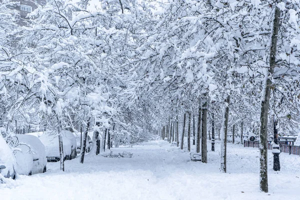 Ein Schöner Schneebedeckter Fußweg Einem Park Madrid Spanien Jahr 2021 — Stockfoto