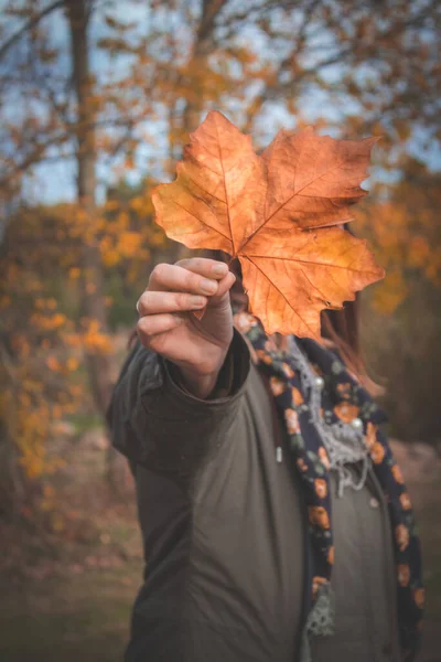 Vertical Shot Woman Holding Dried Maple Leaf Blurry Background — Stock Photo, Image