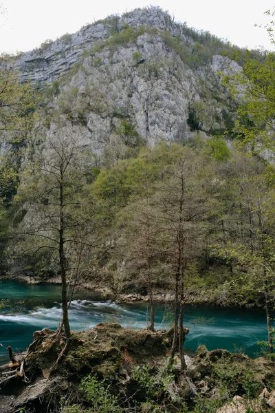 Een Verticaal Shot Van Een Prachtig Rotsachtig Landschap Met Een — Stockfoto