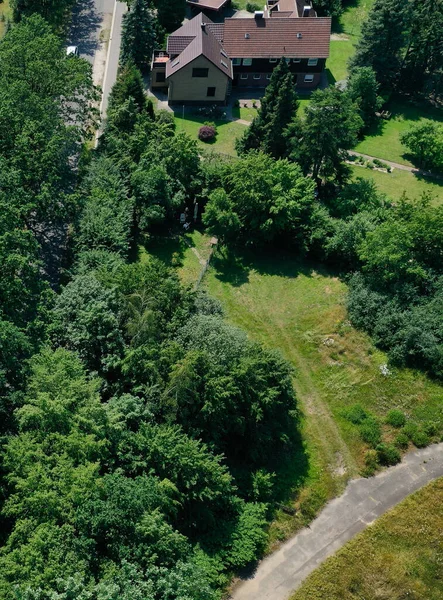 Eine Vertikale Luftaufnahme Von Büschen Bäumen Und Sträuchern Neben Einer — Stockfoto