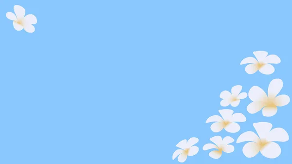 Fundo Azul Com Flores Plumeria Espaço Para Texto — Fotografia de Stock