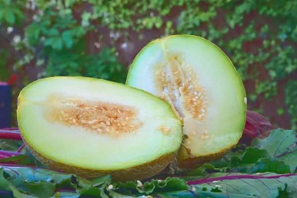 Närbild Färsk Skivad Melon Gröna Blad — Stockfoto